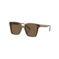 Jimmy Choo Sunglasses in Brown 1
