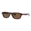 Giorgio Armani AR8206 Sunglasses in Brown 1