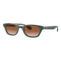 Giorgio Armani AR8207 Sunglasses in Green 1