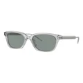 Giorgio Armani AR8210U Sunglasses in Grey 1