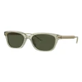 Giorgio Armani AR8210U Sunglasses in Green 1