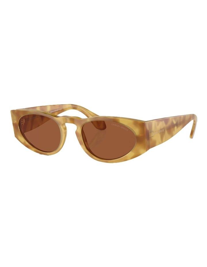 Giorgio Armani AR8216 Sunglasses in Brown 1