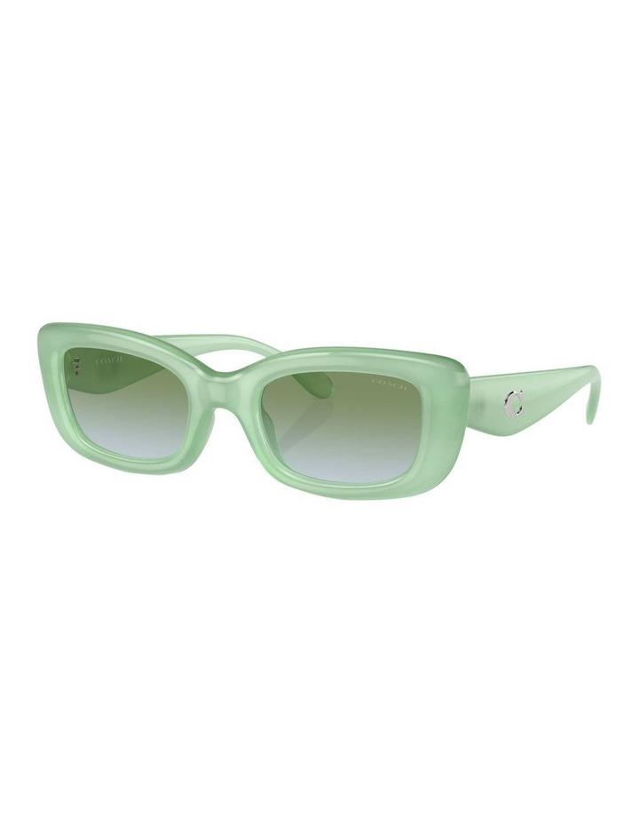 Coach CR610 Sunglasses in Green 1