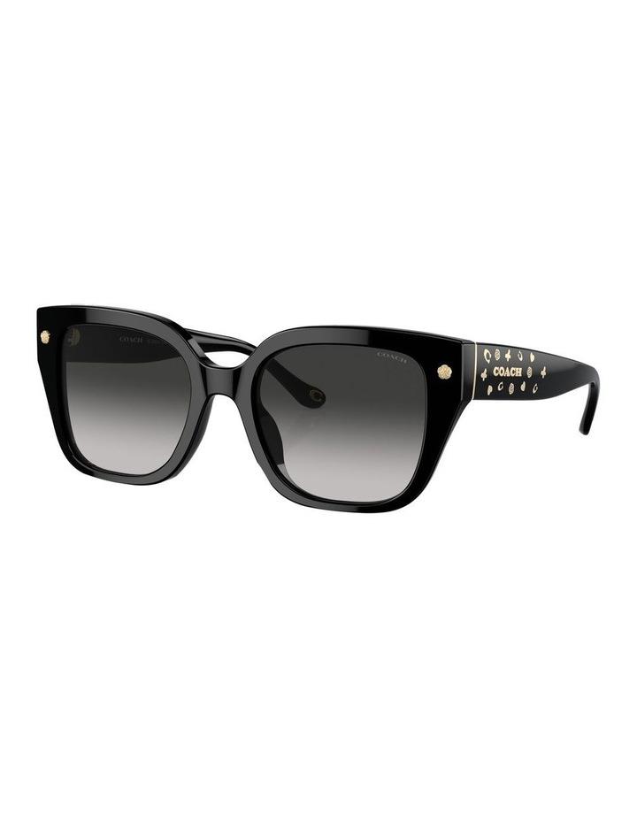 Coach CR611 Sunglasses in Black 1