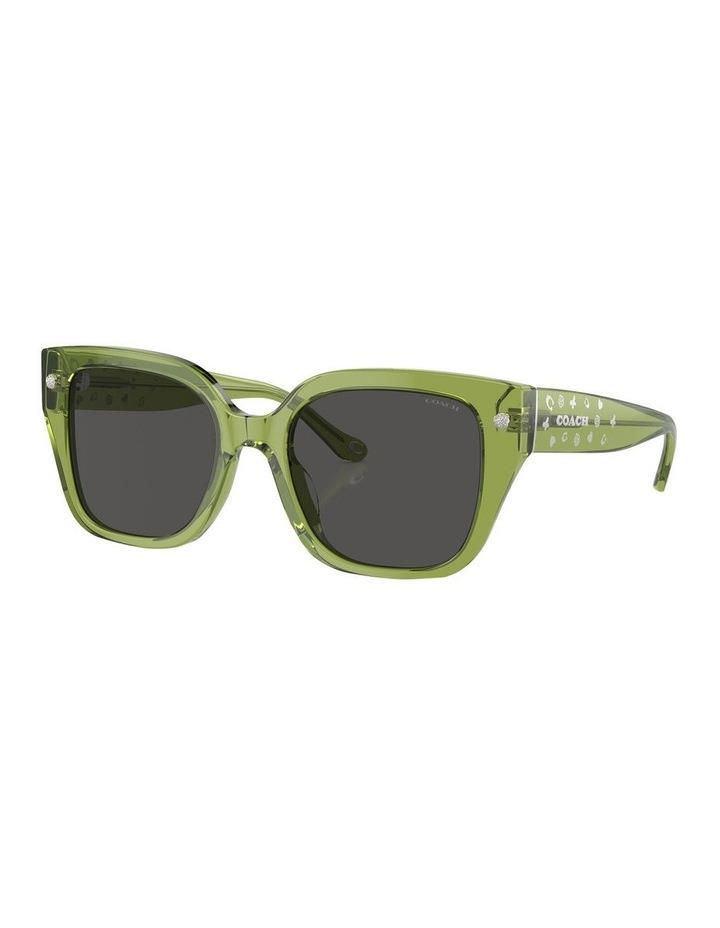 Coach CR611 Sunglasses in Green 1