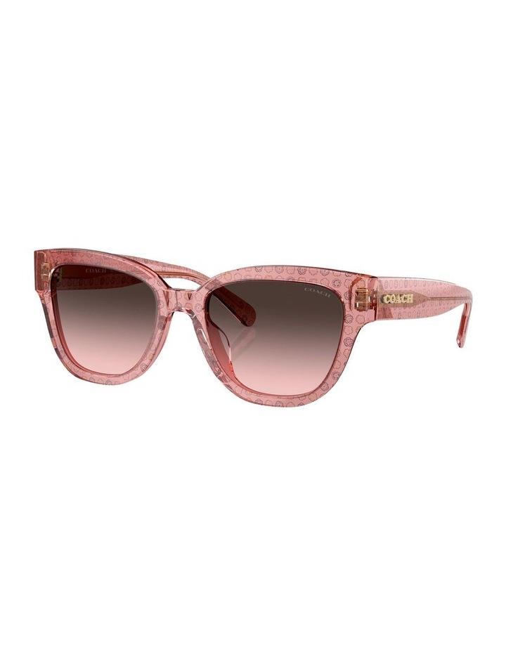 Coach CL920 Sunglasses in Pink 1