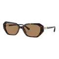 Swarovski SK6017 Sunglasses in Brown 1