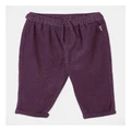 Sprout Cord Pant in Deep Purple Deep Purp 00