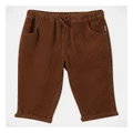Sprout Cord Pant in Brown 00
