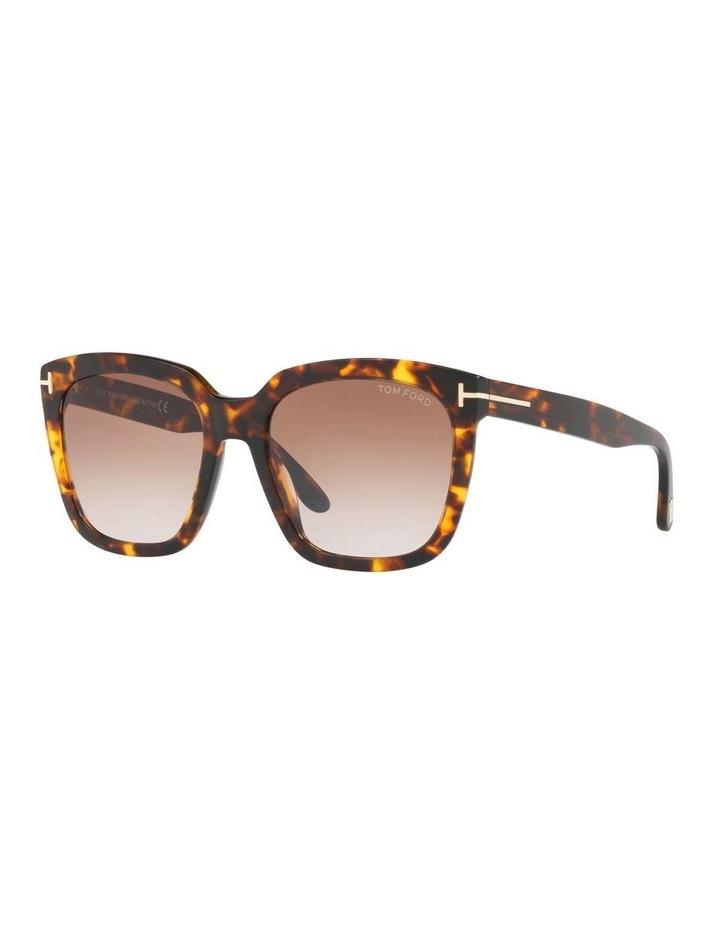 Tom Ford FT0502 Sunglasses in Brown 1
