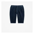 Country Road Corduroy Pant in Navy 3-6 MTHS