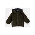 Jack & Milly Benny Padded Cord Jacket in Dark Green 2
