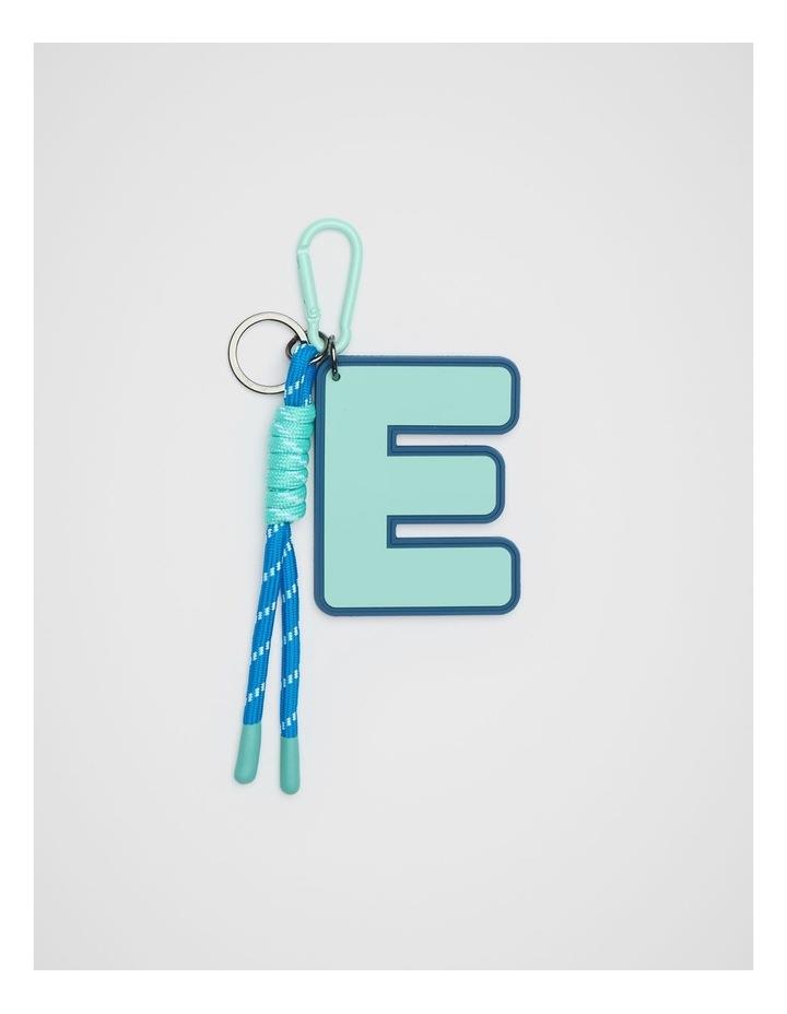 Seed Heritage Initial E Keying in Multi Assorted