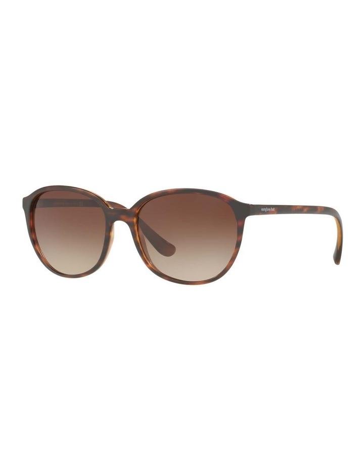 Sunglass Hut Collection HU2003 Brown Sunglasses Brown
