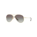 Sunglass Hut Collection HU1001 Gold Sunglasses Grey