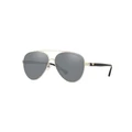 Emporio Armani EA2046D Gold Sunglasses Grey