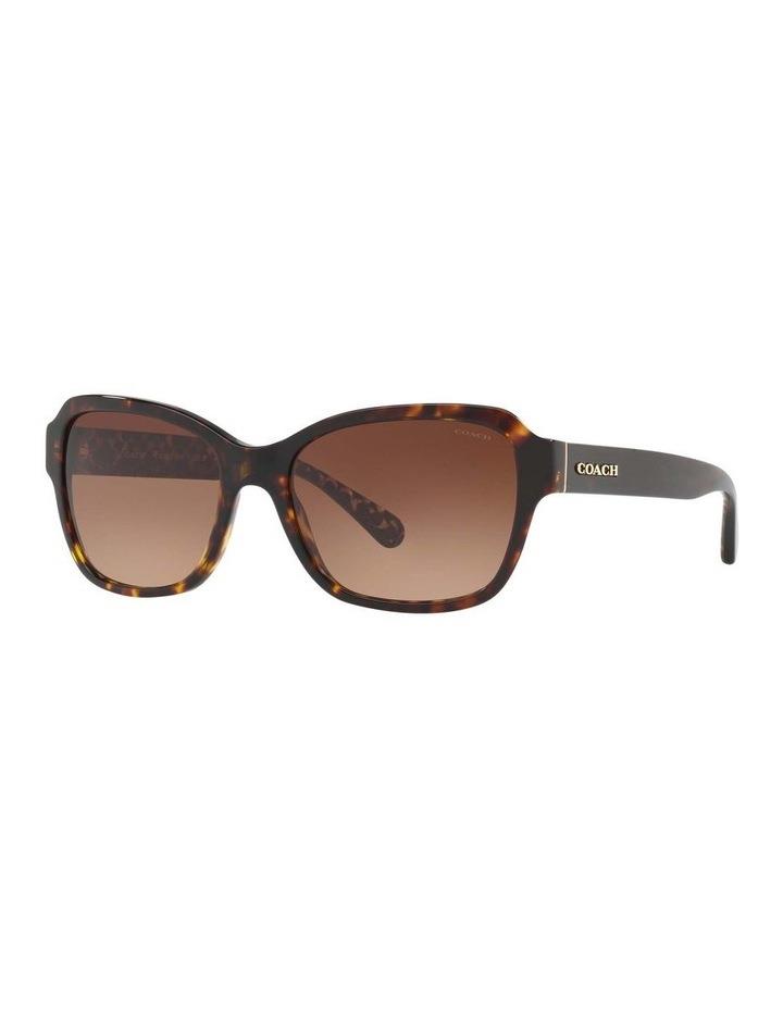 Coach HC8232 L1010 Tortoise Sunglasses Brown