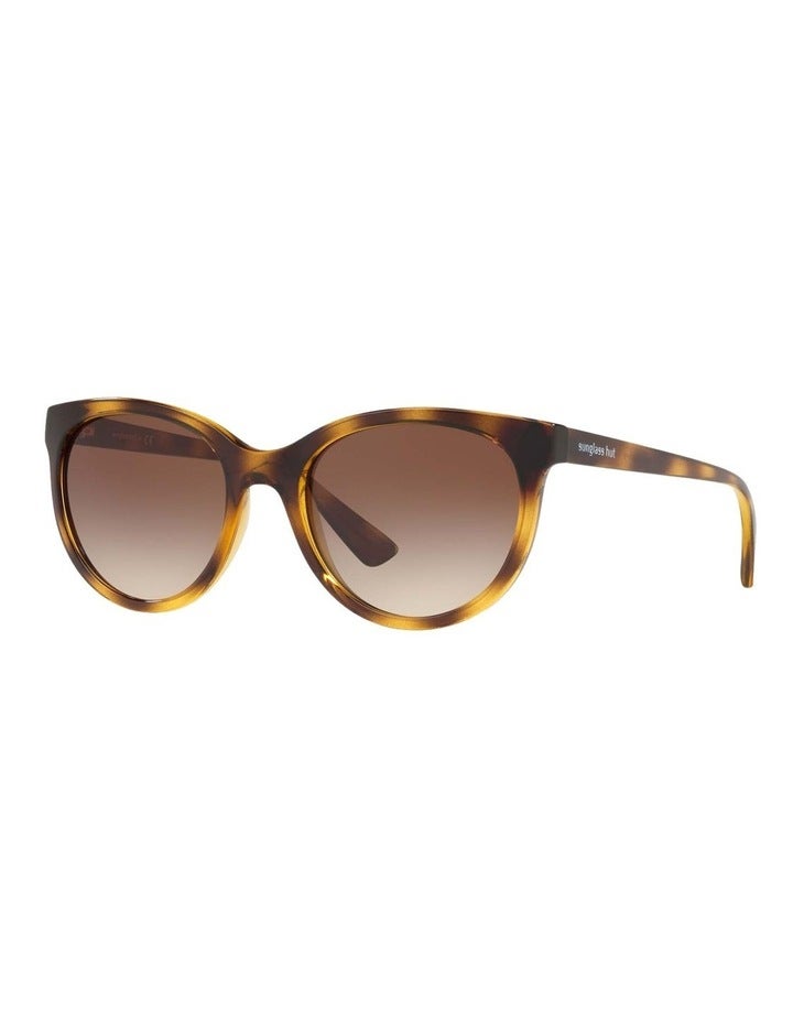 Sunglass Hut Collection HU2011 Tortoise Sunglasses Brown