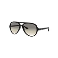 Ray-Ban Cats 5000 Black RB4125 Sunglasses Grey