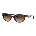 Emporio Armani EA4140 Tortoise Sunglasses Brown