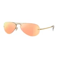 Ray-Ban RB3449 Gold Sunglasses Brown