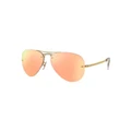 Ray-Ban RB3449 Gold Sunglasses Brown