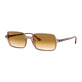 Ray-Ban Square II Brown RB1973 Sunglasses Assorted