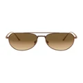 Persol 0PO5003ST 1529389002 Sunglasses in Brown
