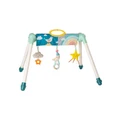 Taf Toys Mini Moon Take To Play Baby Gym Assorted