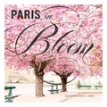 Georgianna Lane Paris In Bloom (Hardback)