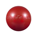 Gofiit Proball Red 65cm Stability Ball