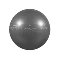 Gofiit Proball Silver 75cm Stability Ball