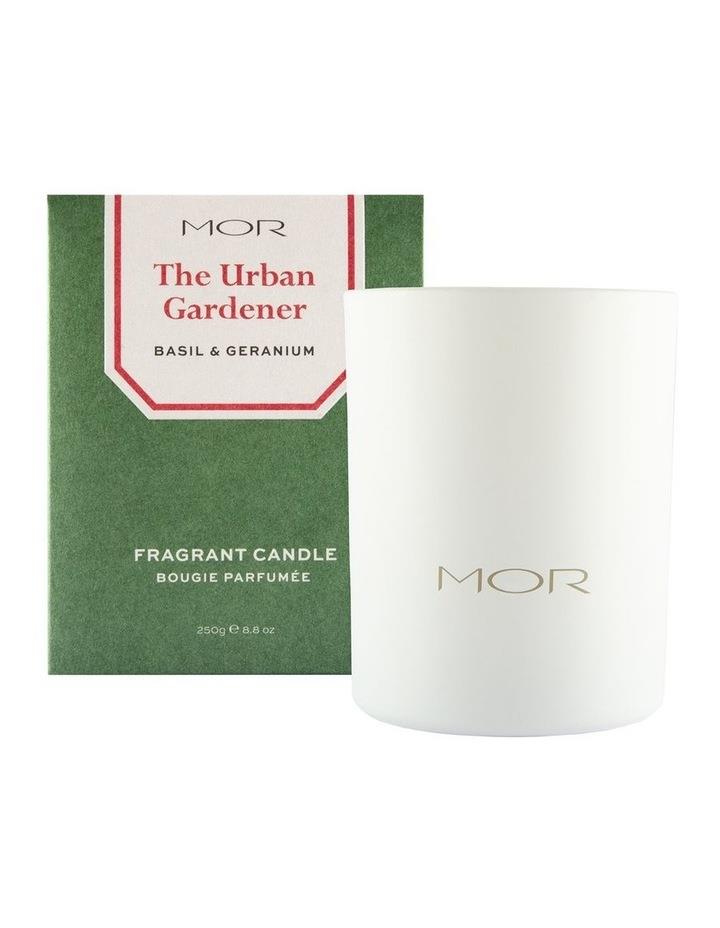 MOR The Urban Gardener: Basil & Geranium Fragrant Candle