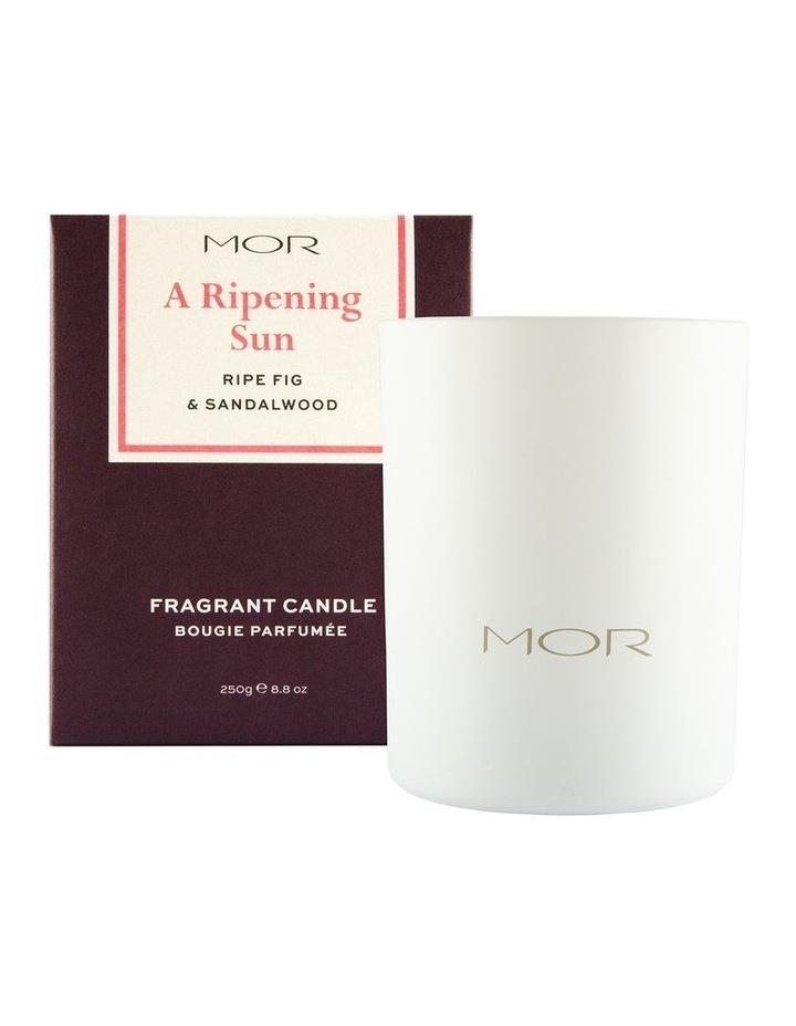 MOR A Ripening Sun: Ripe Fig & Sandalwood Fragrant Candle