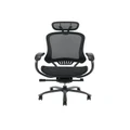 OOS Living LOPEZ Adjustable Ergonomic Office Executive Chair With Removable Headrest