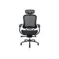 OOS Living LOPEZ Adjustable Ergonomic Office Executive Chair With Removable Headrest