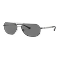 Emporio Armani EA2099D Grey Polarised Sunglasses Grey