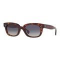 Celine CL4002UN Tortoise Polarised Sunglasses Brown