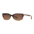 Coach HC8132 L109 Tortoise Polarised Sunglasses Brown