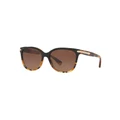Coach HC8132 L109 Tortoise Polarised Sunglasses Brown