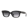 Celine CL4002UN Black Sunglasses Brown