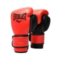 Everlast Powerlock2 12oz Red/Black Training Glove Red