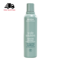 Aveda Scalp Solutions Balancing Shampoo