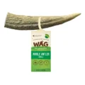 WAG Whole Deer Antler Naturally Shed Long Lasting Dog Treat - Large