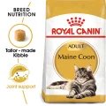 Royal Canin Maine Coon Dry Cat Food - 10kg