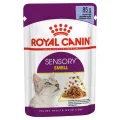 Royal Canin Sensory Smell Chunks in Jelly Wet Cat Food - 85g