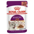 Royal Canin Sensory Taste Chunks in Gravy Wet Cat Food - 85g