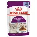Royal Canin Sensory Feel Chunks in Jelly Wet Cat Food - 85g