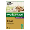 Advantage Flea Treatment >4kg Cat - 6pk
