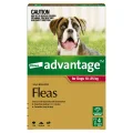 Advantage Flea Treatment 10-25kg Dog - 6pk